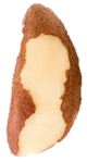 Brazil_Nut.png