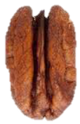 Pecan.png
